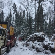Puits artésien Saint-Lambert-de-Lauzon - Route Saint-Jean - Foreuse sur chenilles - Comacchio MC-900P - Pompe submersible - Puits Saint-Lambert-de-Lauzon