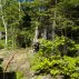 Puits artésien Labrecque - Puits artésien Lac-Saint-Jean - Puits artésien Lac-St-Jean - Forage au Saguenay - Comacchio MC-900P - Foreuse sur chenilles - Chemin des Vacanciers